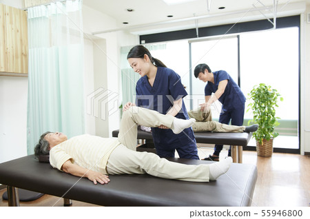 Rehabilitation Senior Physiotherapist 55946800