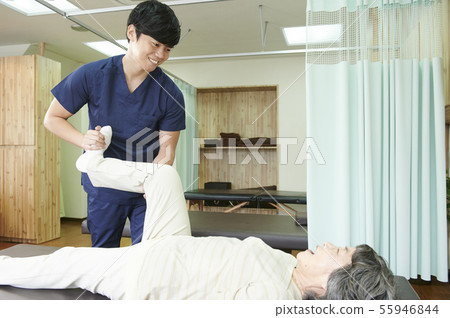 Rehabilitation Senior Physiotherapist 55946844