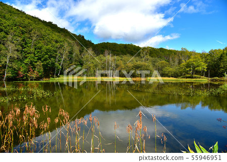 Norikura Kogen Autumn Azami Pond 55946951