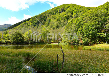 Norikura Kogen Autumn Azami Pond 55946965
