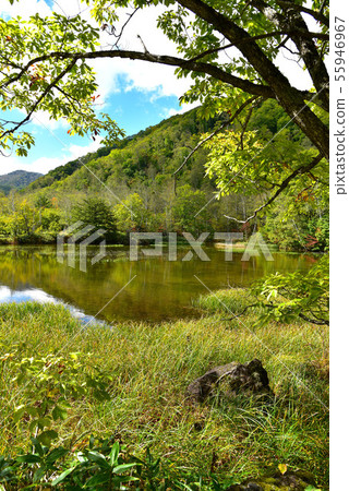 Norikura Kogen Autumn Azami Pond 55946967