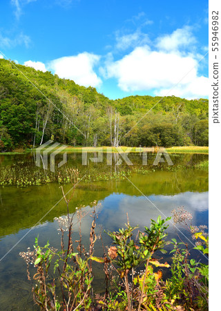 Norikura Kogen Autumn Azami Pond 55946982