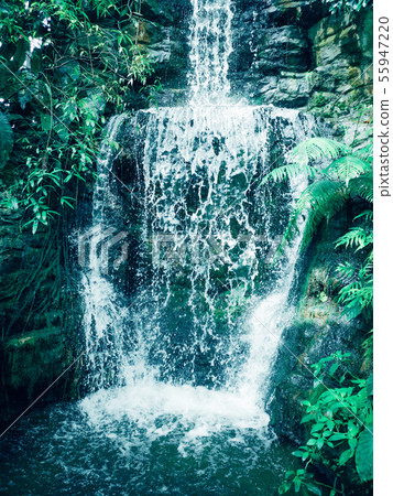 A waterfall in the garden A waterfall in the garden 55947220