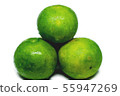 Fresh green tangerine it a fruit., isolated on 55947269