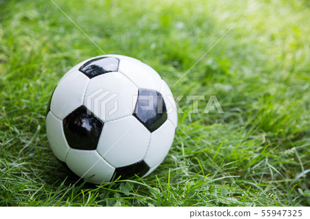 soccer ball soccer ball 55947325