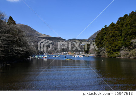 箱根春天 箱根春天 55947618