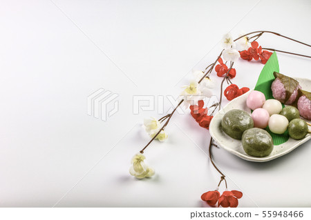 Seasonal dumpling (spring) Seasonal dumpling (spring) 55948466