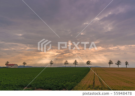 女人的童話山 女人的童話山 55948478
