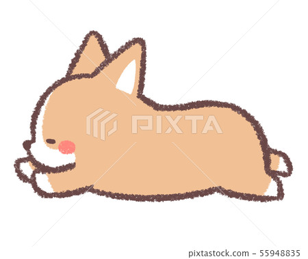 Corgi sleep Corgi sleep 55948835