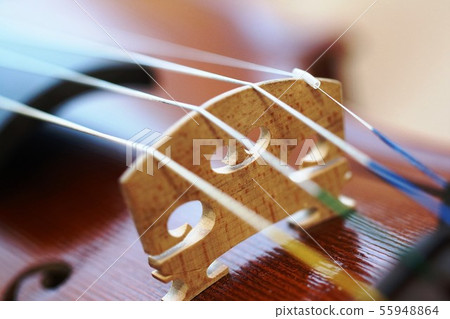 Violin strings up Violin strings up 55948864