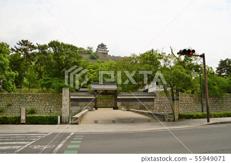 丸龜城堡 55949071