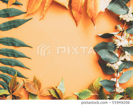 autumn floral decor leaves frame peach background 55949206