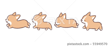 柯基犬4件行 柯基犬4件行 55949570