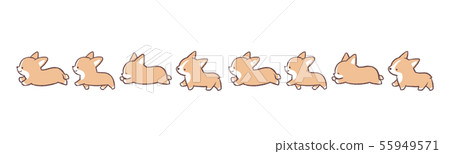 8條柯基犬線 55949571