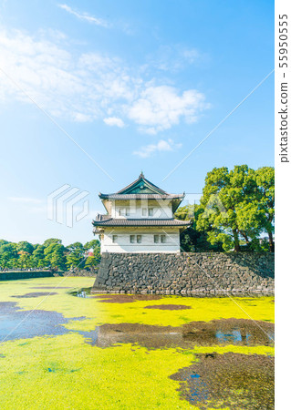 Beautiful Imperial palace building in Tokyo Beautiful Imperial palace building in Tokyo 55950555