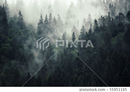 Misty mountain landscape Misty mountain landscape 55951185