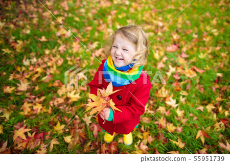 Little girl playing with maple leaf in autumn 55951739