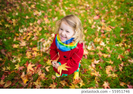Little girl playing with maple leaf in autumn 55951746