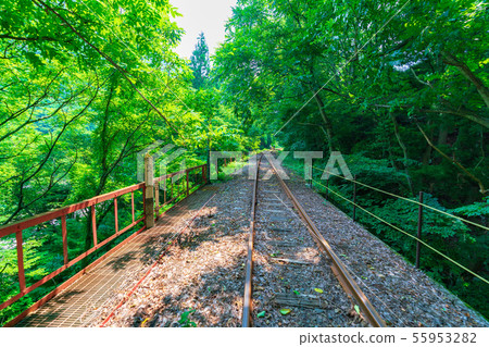 Rail mountain bike gattango (gorge course) 55953282