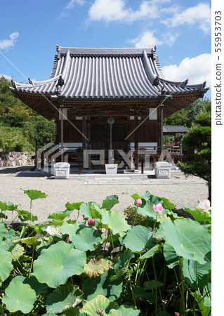 Shinzenkoji, Shingon sect in Tsuyama City, Okayama Prefecture: Main hall 55953703