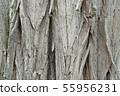 Texture of a very old tree, wallpaper clouse up 55956231