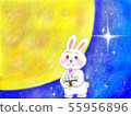 Rabbit at night 55956896