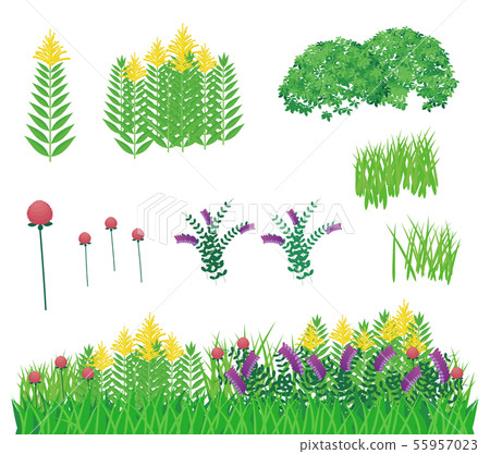 雜草的材料_Still-winged鋸_Nayokusafuji_Red三葉草 55957023