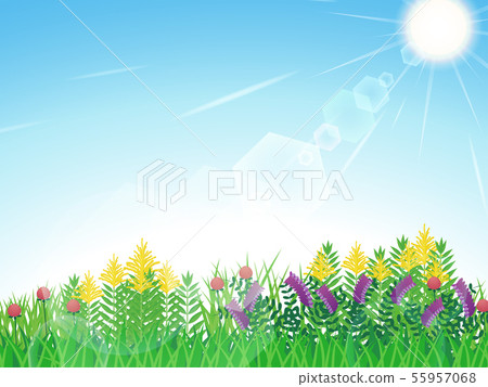 雜草背景_seed hawksaw_nayokusafuji_red clover_sun_sky 55957068