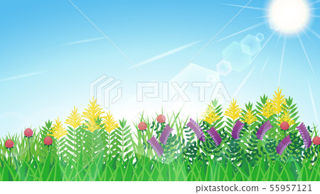 Background of weed _Still-winged Saw _Nayokusafuji_Red clover_Sun_Sky_16: 9 55957121