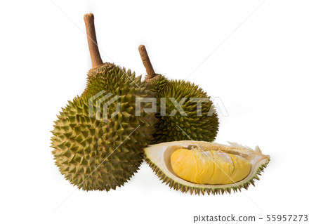 Durian 55957273