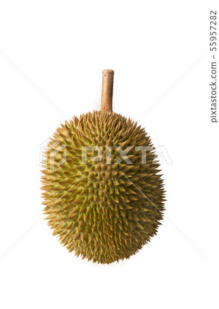 Durian 55957282