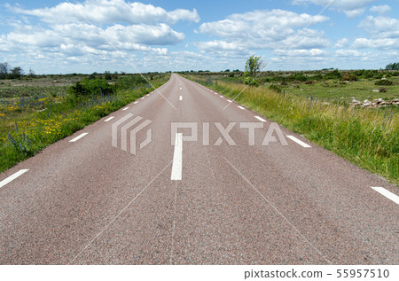 Beautiful road with flowers by road side at the 55957510