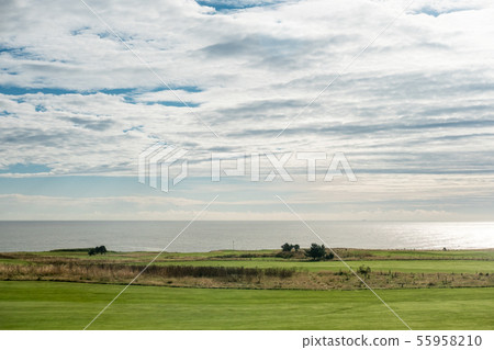 View of green field next to the sea 55958210