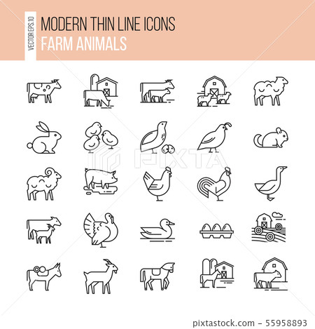 Collection of illustrations in line style, well-drawn and isolated on white background. 55958893