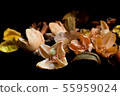 Beautiful background of dry flowers and plants 55959024