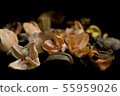 Beautiful background of dry flowers and plants 55959026