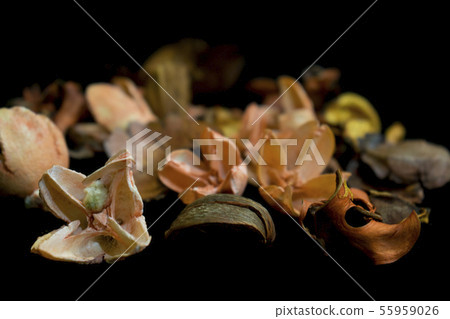 Beautiful background of dry flowers and plants Beautiful background of dry flowers and plants 55959026