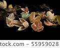 Beautiful background of dry flowers and plants 55959028