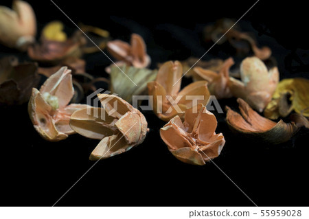 Beautiful background of dry flowers and plants 55959028