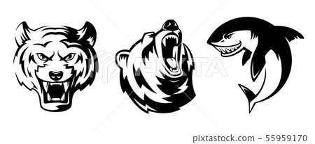 Illustrations of animals for sport badges. Grizzly, tiger and shark. Vector labels set isolate 55959170