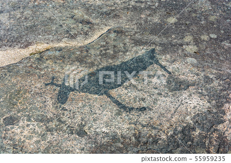 Ancient drawings on a large rock. 55959235
