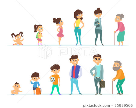 4 stages of human life cycle