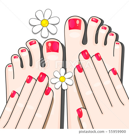 Pedicure Female Fingers Vector Illustration Of 55959900
