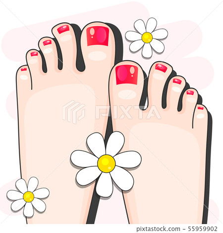 Pedicure Female Fingers Vector Illustration Of Pedicure Female Fingers Vector Illustration Of 55959902