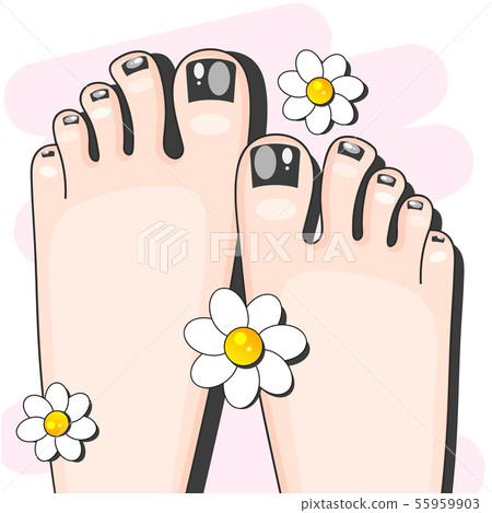 Pedicure Female Fingers Vector Illustration Of Pedicure Female Fingers Vector Illustration Of 55959903