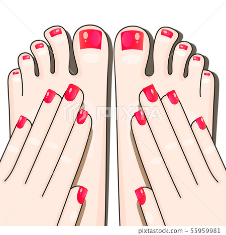 Pedicure Female Fingers Vector Illustration Of 55959981
