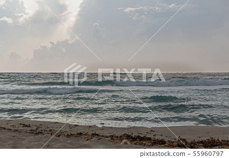 Capo di Feno stormy beach near Ajaccio, France. 55960797