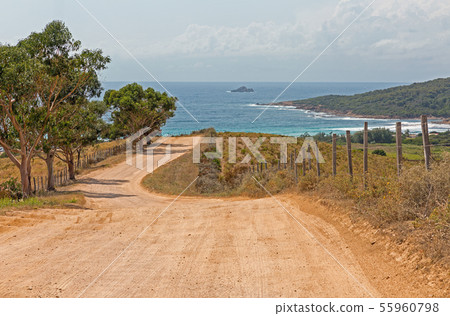 Road to Capo di Feno beach near Ajaccio, Corsica, 55960798