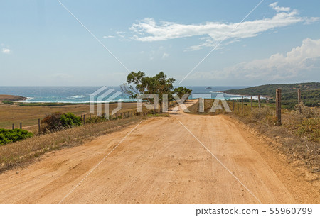 Road to Capo di Feno beach near Ajaccio, Corsica, Road to Capo di Feno beach near Ajaccio, Corsica, 55960799