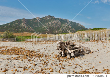 Capo di Feno beach near Ajaccio, Corsica, France. 55960801